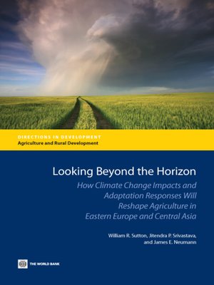 cover image of Looking Beyond the Horizon